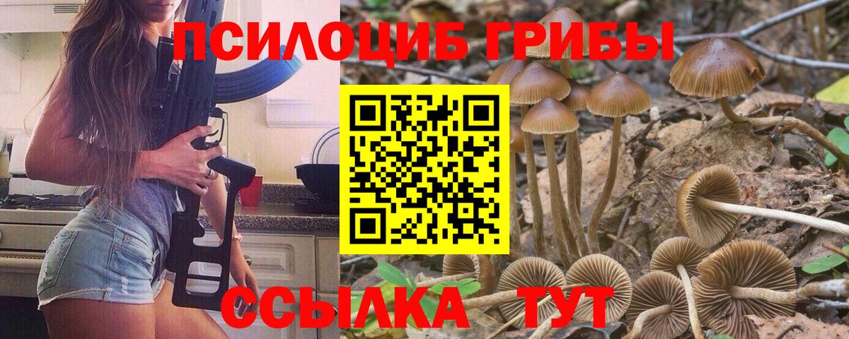 Галлюциногенные грибы Cubensis Котельники