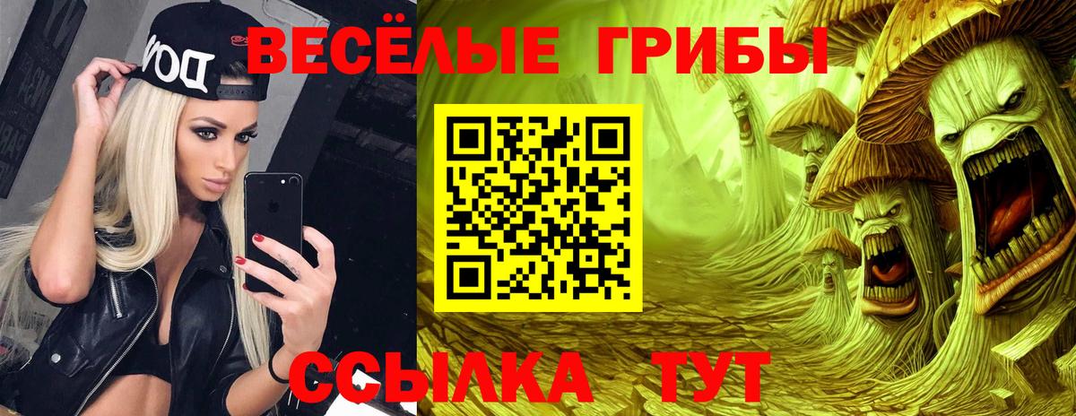 Псилоцибиновые грибы Cubensis  Вход с VPN  Котельники  Галлюциногенные грибы MAGIC MUSHROOMS 